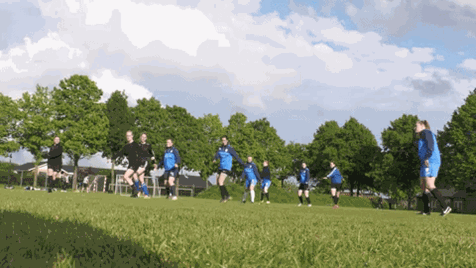 Kvinderne er vilde med FC Odense